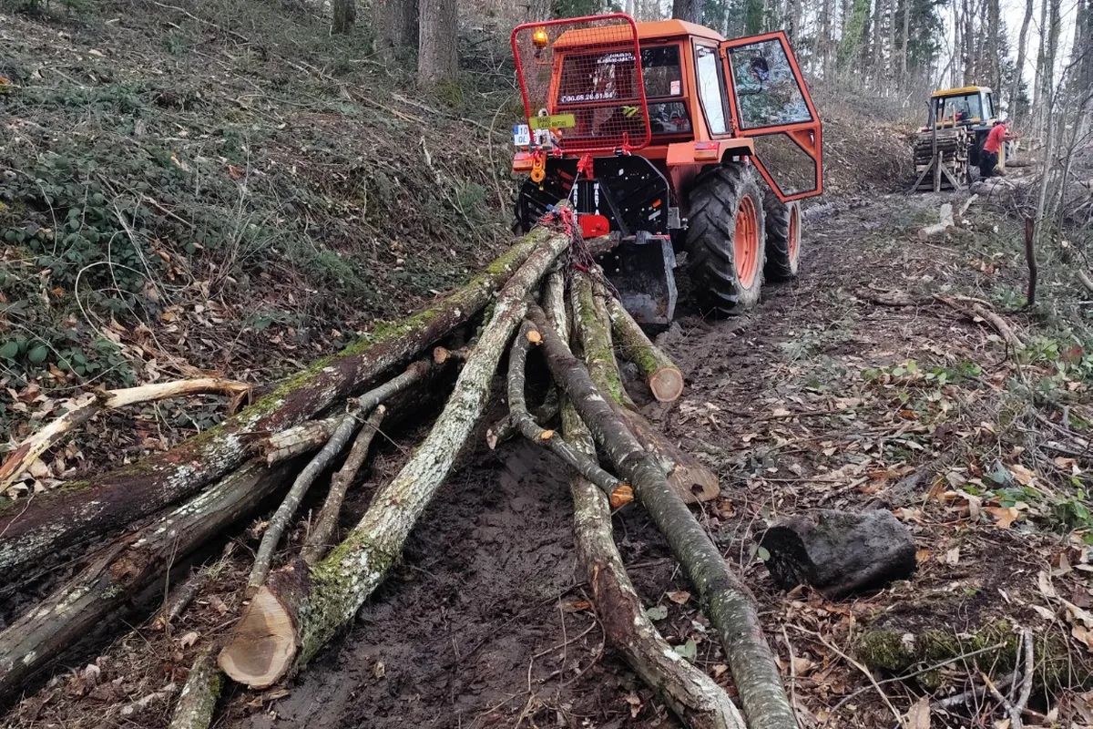 Tracteur avec treuil forestier pour déplacer du bois